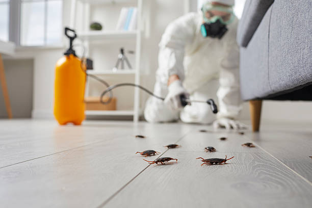 Commercial Kitchen Cockroach Control in Yankton
